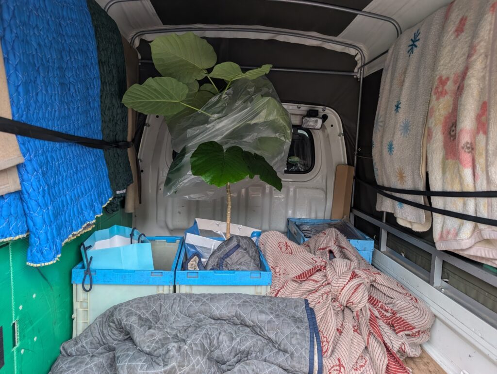 観葉植物の積込み例(しっかり固定)