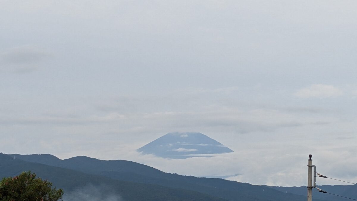 静岡県熱海市から東京都江東区まで仏壇を運びました