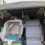 インコと一緒に引越し｜草加市から国立市の団地までペット同伴引越し事例