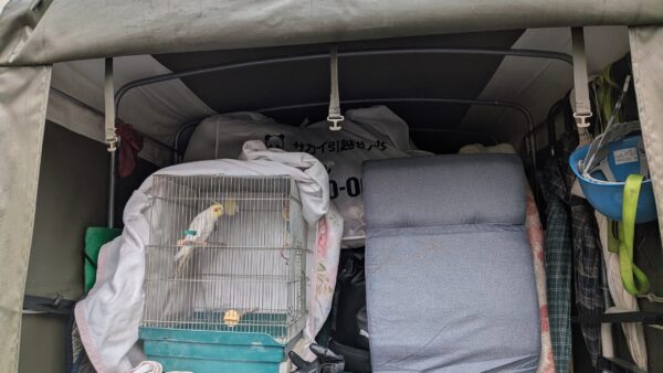 インコと一緒に引越し｜草加市から国立市の団地までペット同伴引越し事例