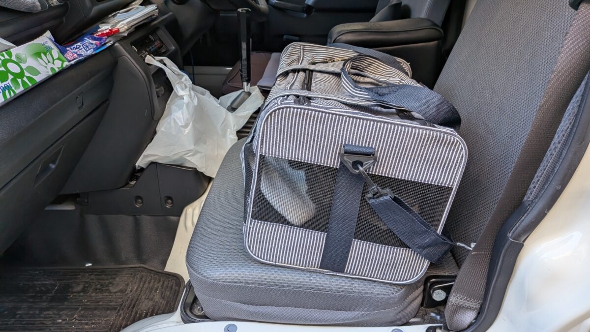 助手席でキャリーケースに入って移動するワンちゃん