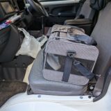 助手席でキャリーケースに入って移動するワンちゃん