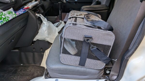 草加市から台東区まで｜ワンちゃんと一緒に引越しを行いました