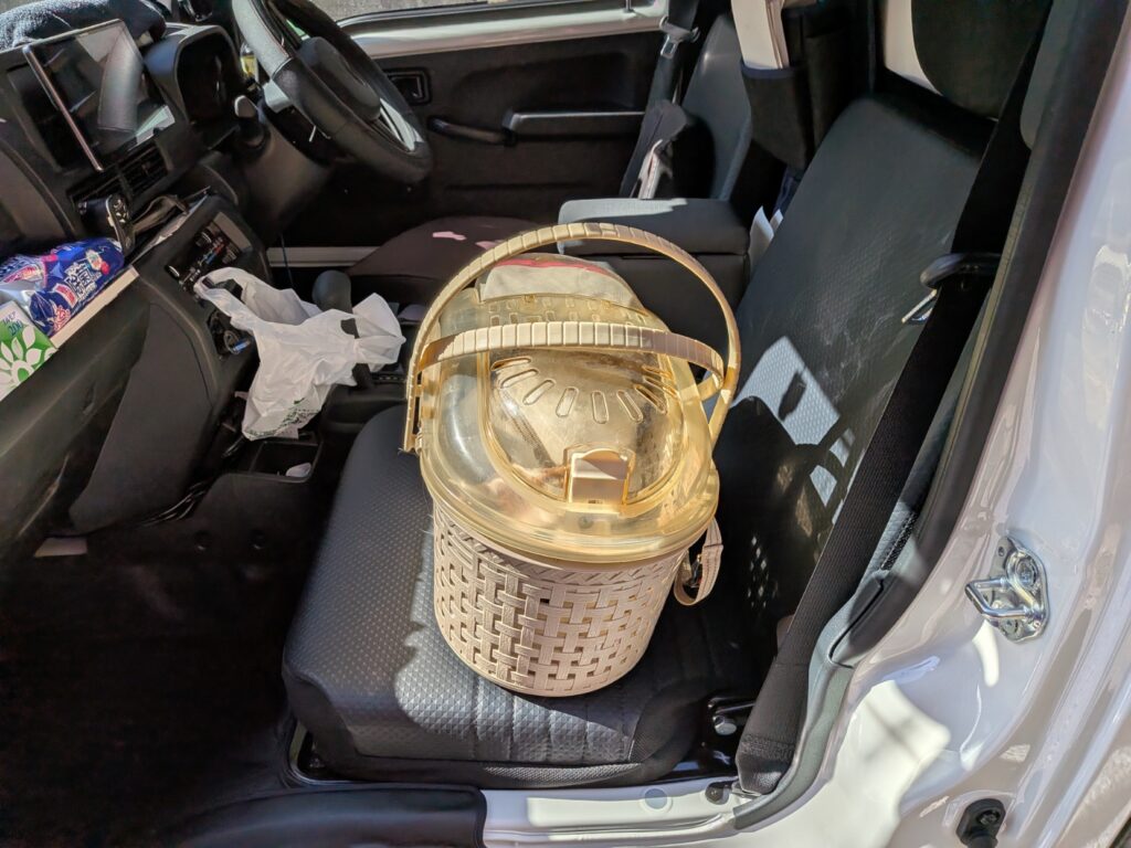 キャリーケースで移動する猫ちゃん（飼い主さん同乗で引越し）