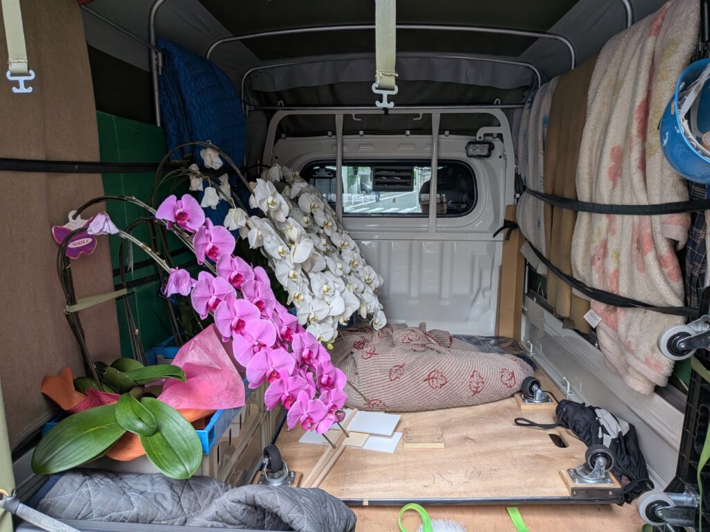 胡蝶蘭入りオリコンを荷台内で固定した配送準備の様子
