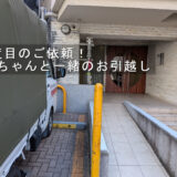 猫ちゃんと一緒に3度目のお引越し｜リピーター様から再びご依頼いただきました【渋谷区→江戸川区】